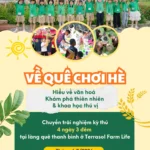 Cùng Con Viết Nên Mùa Hè Đáng Nhớ: Trại Hè Trải Nghiệm 4N3Đ “Về Quê Chơi Hè” 3