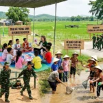 Top 5 Trại Hè 2026 Bùng Nổ Tại Hà Nội Và Miền Bắc: Con Trưởng Thành, Bố Mẹ Yên Tâm