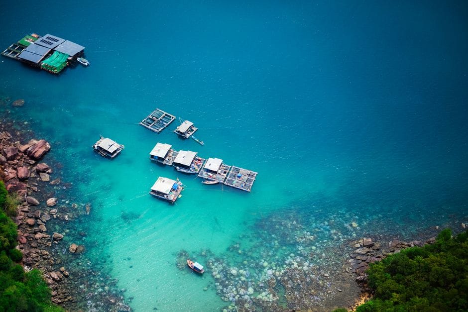 Kinh nghiệm du lịch tự túc đảo Bình Ba Nha Trang: Hướng dẫn từ A đến Z